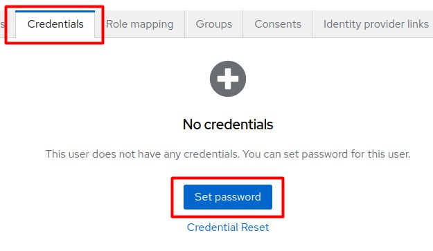 Initiate the set password procedure